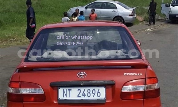 Buy Used Toyota Corolla Red Car in Maseru in Maseru Buy Used Toyota Corolla Red Car in Maseru in Maseru
