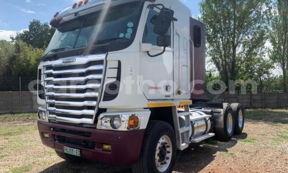 اشتري مستعمل Scania Irizar White شاحنة في Maseru في Maseru