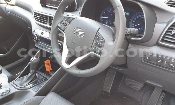 Acheter Occasion Voiture Hyundai Tucson Blanc à Maseru, Maseru Acheter Occasion Voiture Hyundai Tucson Blanc à Maseru, Maseru