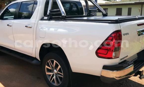 اشتري مستعمل Toyota Hilux White سيارة في Maputsoa في Leribe اشتري مستعمل Toyota Hilux White سيارة في Maputsoa في Leribe