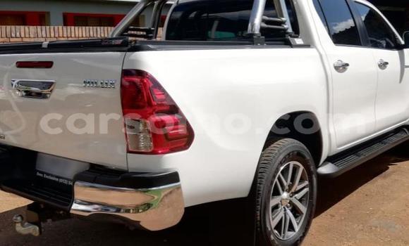 اشتري مستعمل Toyota Hilux White سيارة في Maputsoa في Leribe اشتري مستعمل Toyota Hilux White سيارة في Maputsoa في Leribe