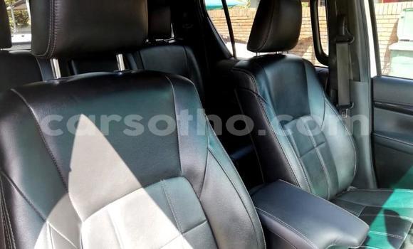 اشتري مستعمل Toyota Hilux White سيارة في Maputsoa في Leribe اشتري مستعمل Toyota Hilux White سيارة في Maputsoa في Leribe