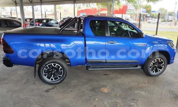 Acheter Occasion Voiture Toyota Hilux Bleu à Maputsoe, Leribe Acheter Occasion Voiture Toyota Hilux Bleu à Maputsoe, Leribe