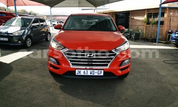 Acheter Occasion Voiture Hyundai Tucson Rouge à Maseru, Maseru Acheter Occasion Voiture Hyundai Tucson Rouge à Maseru, Maseru
