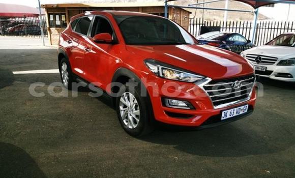 Acheter Occasion Voiture Hyundai Tucson Rouge à Maseru, Maseru Acheter Occasion Voiture Hyundai Tucson Rouge à Maseru, Maseru