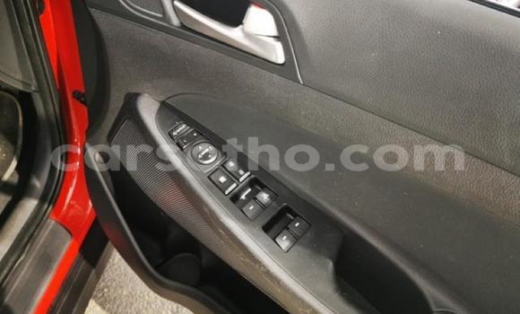 Acheter Occasion Voiture Hyundai Tucson Rouge à Maseru, Maseru Acheter Occasion Voiture Hyundai Tucson Rouge à Maseru, Maseru