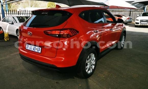 Acheter Occasion Voiture Hyundai Tucson Rouge à Maseru, Maseru Acheter Occasion Voiture Hyundai Tucson Rouge à Maseru, Maseru