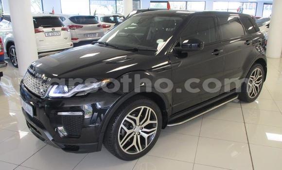 Sayi Na hannu Land Rover Range Rover Evoque Black Mota in Maseru a Maseru Sayi Na hannu Land Rover Range Rover Evoque Black Mota in Maseru a Maseru