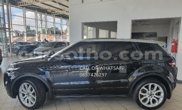 Buy Used Land Rover Range Rover Evoque Black Car in Maseru in Maseru Buy Used Land Rover Range Rover Evoque Black Car in Maseru in Maseru