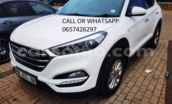 Buy Used Hyundai Tucson White Car in Peka in Leribe Buy Used Hyundai Tucson White Car in Peka in Leribe