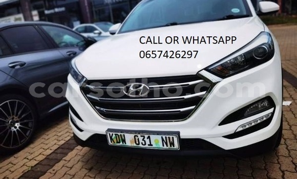 Buy Used Hyundai Tucson White Car in Peka in Leribe Buy Used Hyundai Tucson White Car in Peka in Leribe