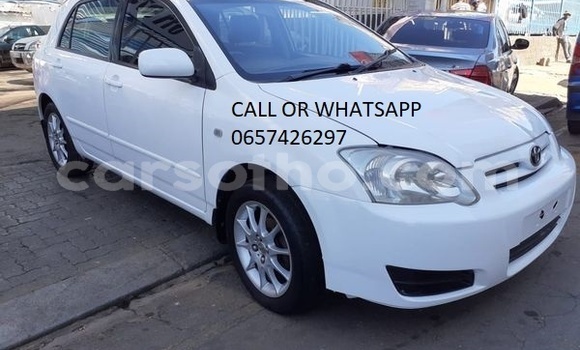 Buy Used Toyota Runx White Car in Maputsoa in Leribe Buy Used Toyota Runx White Car in Maputsoa in Leribe