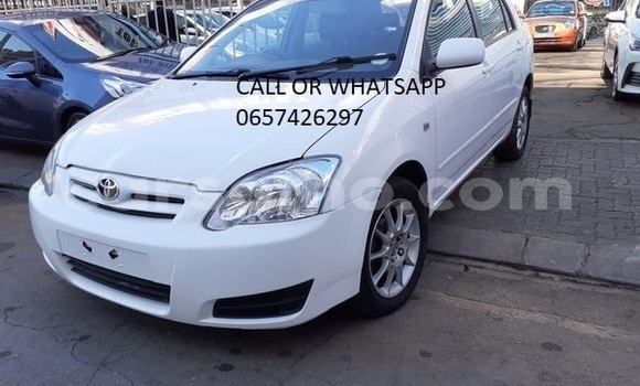 Buy Used Toyota Runx White Car in Maputsoa in Leribe Buy Used Toyota Runx White Car in Maputsoa in Leribe
