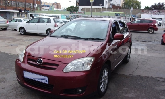 اشتري مستعمل Toyota Runx Red سيارة في Maputsoe في Leribe اشتري مستعمل Toyota Runx Red سيارة في Maputsoe في Leribe