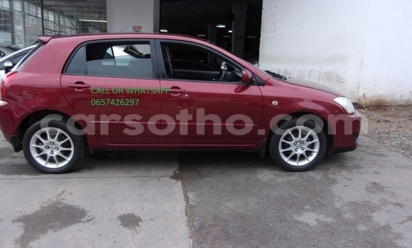 اشتري مستعمل Toyota Runx Red سيارة في Maputsoe في Leribe اشتري مستعمل Toyota Runx Red سيارة في Maputsoe في Leribe