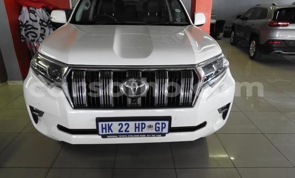 اشتري مستعمل Toyota Land Cruiser Prado White سيارة في Maseru في Maseru اشتري مستعمل Toyota Land Cruiser Prado White سيارة في Maseru في Maseru