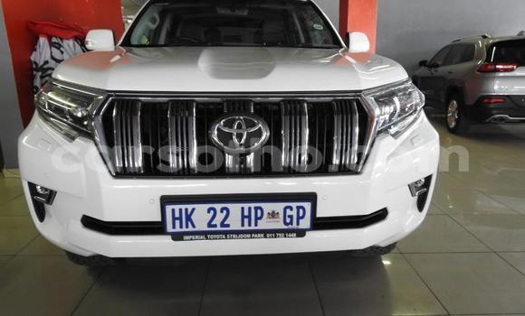 اشتري مستعمل Toyota Land Cruiser Prado White سيارة في Maseru في Maseru اشتري مستعمل Toyota Land Cruiser Prado White سيارة في Maseru في Maseru
