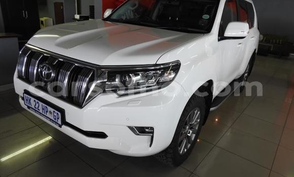اشتري مستعمل Toyota Land Cruiser Prado White سيارة في Maseru في Maseru اشتري مستعمل Toyota Land Cruiser Prado White سيارة في Maseru في Maseru