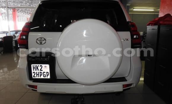 اشتري مستعمل Toyota Land Cruiser Prado White سيارة في Maseru في Maseru اشتري مستعمل Toyota Land Cruiser Prado White سيارة في Maseru في Maseru