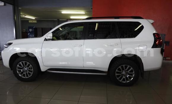 اشتري مستعمل Toyota Land Cruiser Prado White سيارة في Maseru في Maseru اشتري مستعمل Toyota Land Cruiser Prado White سيارة في Maseru في Maseru