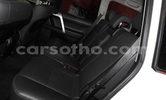 اشتري مستعمل Toyota Land Cruiser Prado White سيارة في Maseru في Maseru اشتري مستعمل Toyota Land Cruiser Prado White سيارة في Maseru في Maseru