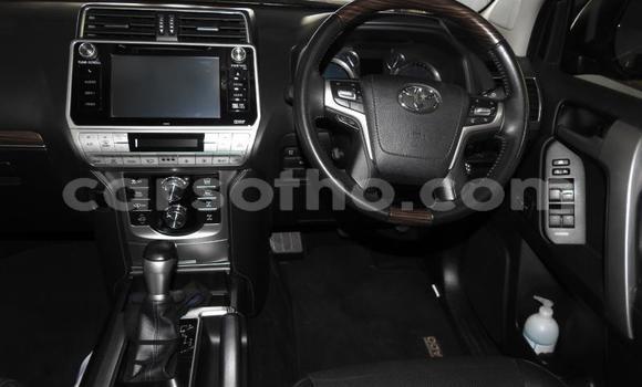 اشتري مستعمل Toyota Land Cruiser Prado White سيارة في Maseru في Maseru اشتري مستعمل Toyota Land Cruiser Prado White سيارة في Maseru في Maseru