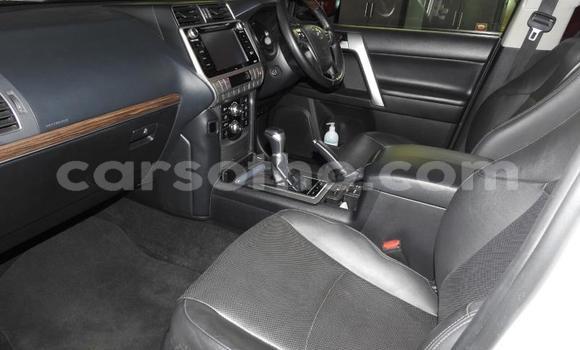 اشتري مستعمل Toyota Land Cruiser Prado White سيارة في Maseru في Maseru اشتري مستعمل Toyota Land Cruiser Prado White سيارة في Maseru في Maseru