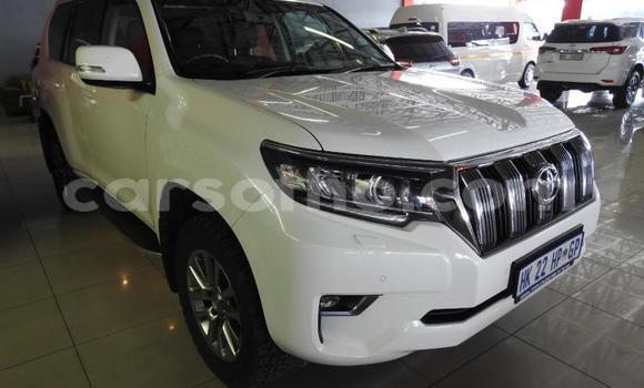 اشتري مستعمل Toyota Land Cruiser Prado White سيارة في Maseru في Maseru اشتري مستعمل Toyota Land Cruiser Prado White سيارة في Maseru في Maseru