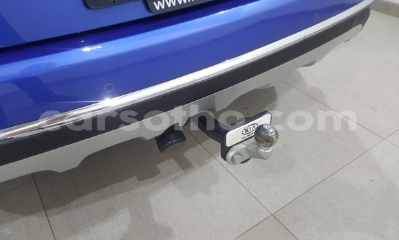 اشتري مستعمل Kia Sportage Blue سيارة في Maputsoa في Leribe اشتري مستعمل Kia Sportage Blue سيارة في Maputsoa في Leribe