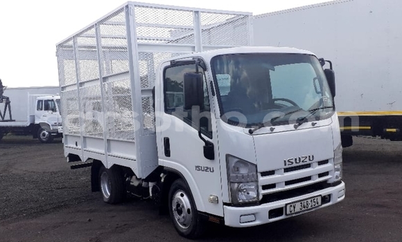 اشتري مستعمل Isuzu FTR 850 White شاحنة في Maseru في Maseru اشتري مستعمل Isuzu FTR 850 White شاحنة في Maseru في Maseru