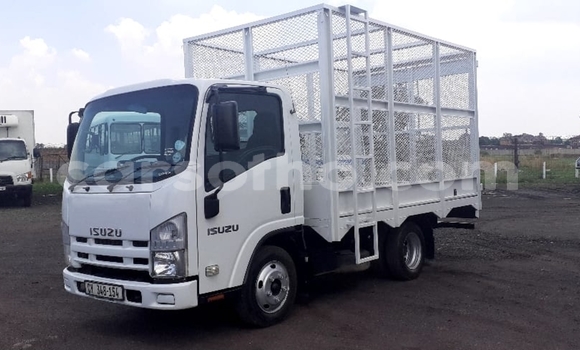 اشتري مستعمل Isuzu FTR 850 White شاحنة في Maseru في Maseru اشتري مستعمل Isuzu FTR 850 White شاحنة في Maseru في Maseru