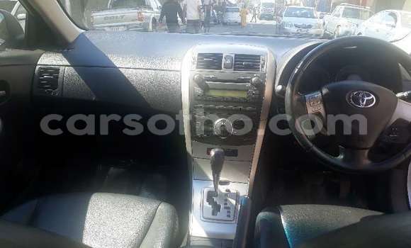 Acheter Occasion Voiture Toyota Corolla Gris à Maseru, Maseru Acheter Occasion Voiture Toyota Corolla Gris à Maseru, Maseru