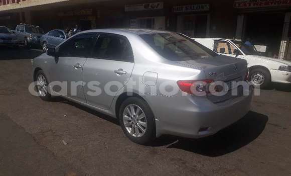 Acheter Occasion Voiture Toyota Corolla Gris à Maseru, Maseru Acheter Occasion Voiture Toyota Corolla Gris à Maseru, Maseru