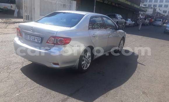 Acheter Occasion Voiture Toyota Corolla Gris à Maseru, Maseru Acheter Occasion Voiture Toyota Corolla Gris à Maseru, Maseru