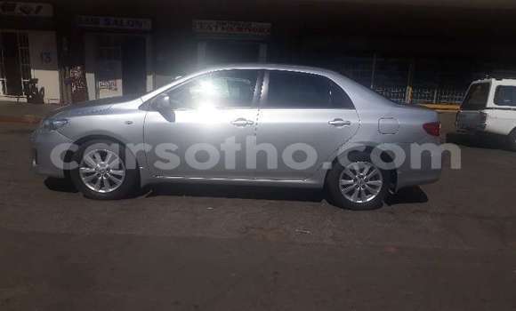 Acheter Occasion Voiture Toyota Corolla Gris à Maseru, Maseru Acheter Occasion Voiture Toyota Corolla Gris à Maseru, Maseru