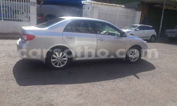 Acheter Occasion Voiture Toyota Corolla Gris à Maseru, Maseru Acheter Occasion Voiture Toyota Corolla Gris à Maseru, Maseru