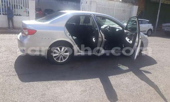 Acheter Occasion Voiture Toyota Corolla Gris à Maseru, Maseru Acheter Occasion Voiture Toyota Corolla Gris à Maseru, Maseru