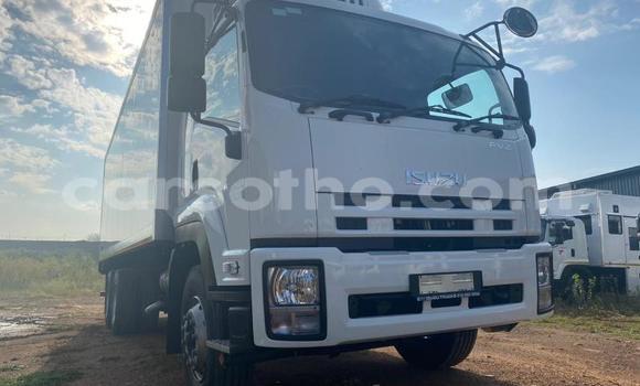 اشتري مستعمل Isuzu FTR 850 White شاحنة في Maseru في Maseru اشتري مستعمل Isuzu FTR 850 White شاحنة في Maseru في Maseru