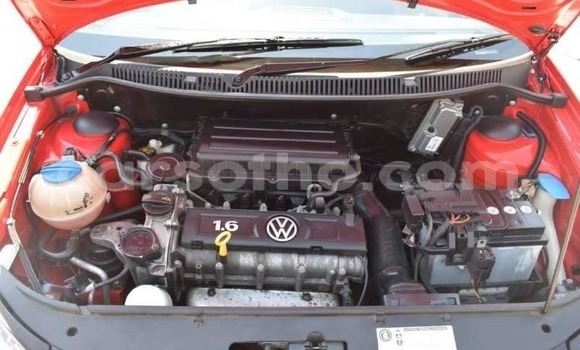 اشتري مستعمل Volkswagen Polo Red سيارة في Maseru في Maseru اشتري مستعمل Volkswagen Polo Red سيارة في Maseru في Maseru