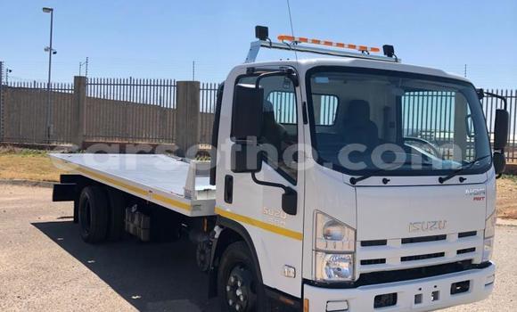 Buy Used Isuzu FVZ White Truck in Mafeteng in Mafeteng Buy Used Isuzu FVZ White Truck in Mafeteng in Mafeteng