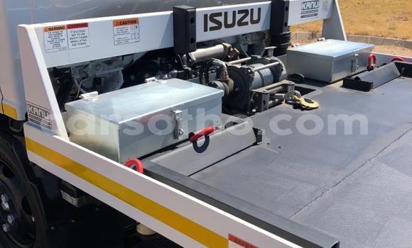 Buy Used Isuzu FVZ White Truck in Mafeteng in Mafeteng Buy Used Isuzu FVZ White Truck in Mafeteng in Mafeteng