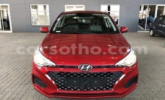 اشتري مستعمل Hyundai i20 Red سيارة في Maseru في Maseru اشتري مستعمل Hyundai i20 Red سيارة في Maseru في Maseru