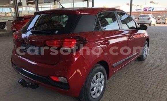 اشتري مستعمل Hyundai i20 Red سيارة في Maseru في Maseru اشتري مستعمل Hyundai i20 Red سيارة في Maseru في Maseru