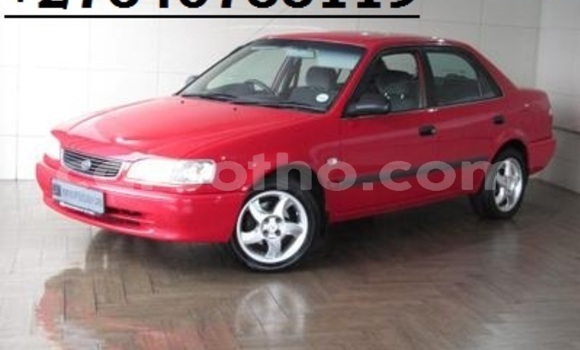 اشتري مستعمل Toyota Corolla Red سيارة في Maseru في Maseru اشتري مستعمل Toyota Corolla Red سيارة في Maseru في Maseru