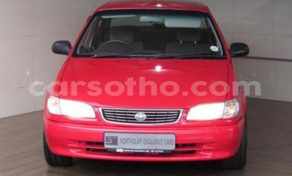 اشتري مستعمل Toyota Corolla Red سيارة في Maseru في Maseru اشتري مستعمل Toyota Corolla Red سيارة في Maseru في Maseru