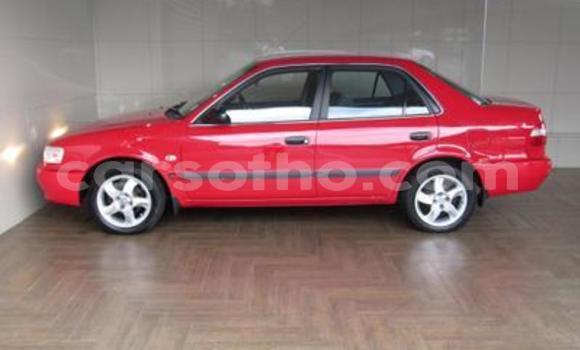 اشتري مستعمل Toyota Corolla Red سيارة في Maseru في Maseru اشتري مستعمل Toyota Corolla Red سيارة في Maseru في Maseru
