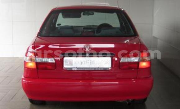 اشتري مستعمل Toyota Corolla Red سيارة في Maseru في Maseru اشتري مستعمل Toyota Corolla Red سيارة في Maseru في Maseru