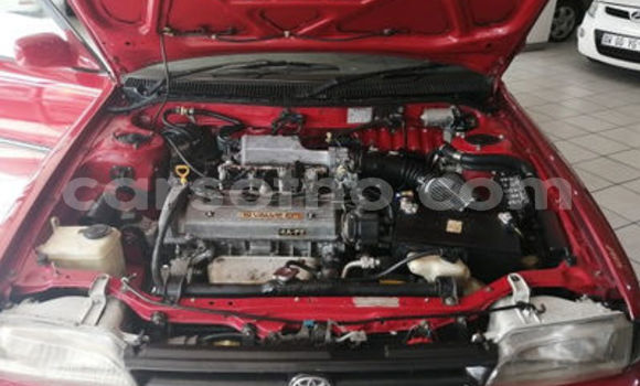 اشتري مستعمل Toyota Corolla Red سيارة في Maseru في Maseru اشتري مستعمل Toyota Corolla Red سيارة في Maseru في Maseru