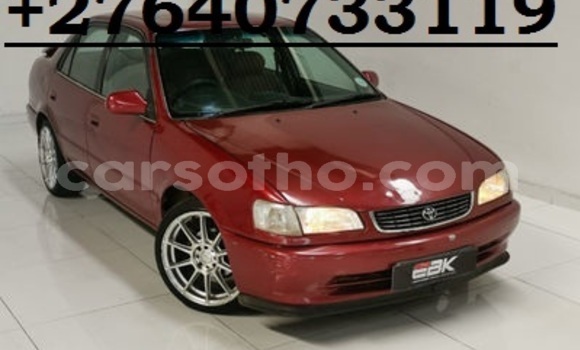 اشتري مستعمل Toyota Corolla Red سيارة في Maseru في Maseru اشتري مستعمل Toyota Corolla Red سيارة في Maseru في Maseru