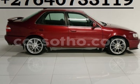 اشتري مستعمل Toyota Corolla Red سيارة في Maseru في Maseru اشتري مستعمل Toyota Corolla Red سيارة في Maseru في Maseru